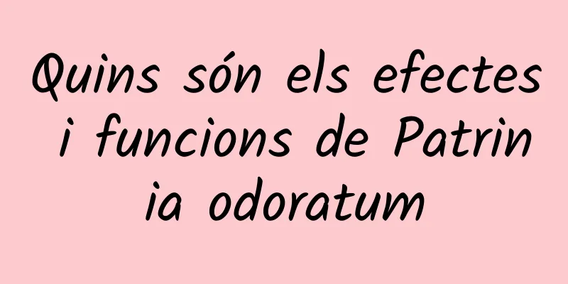 Quins són els efectes i funcions de Patrinia odoratum