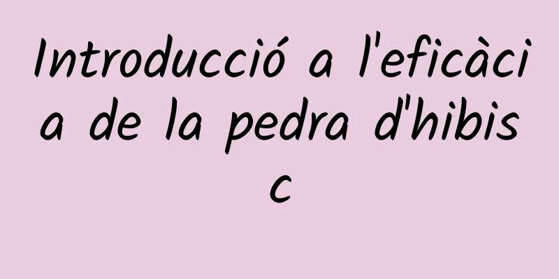 Introducció a l'eficàcia de la pedra d'hibisc