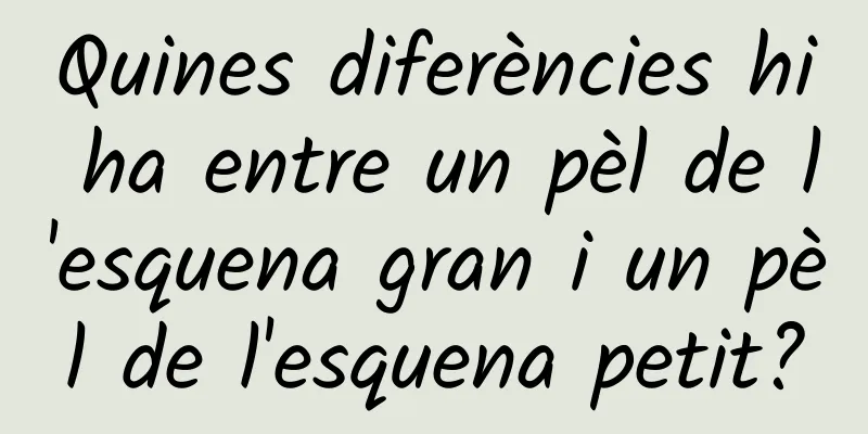 Quines diferències hi ha entre un pèl de l'esquena gran i un pèl de l'esquena petit?