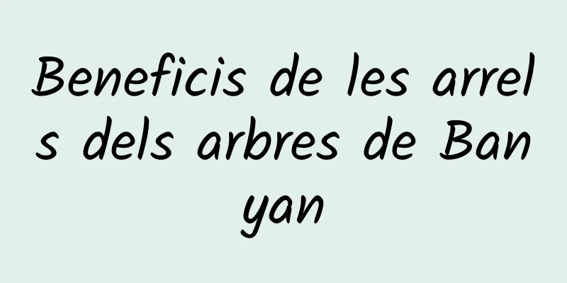 Beneficis de les arrels dels arbres de Banyan