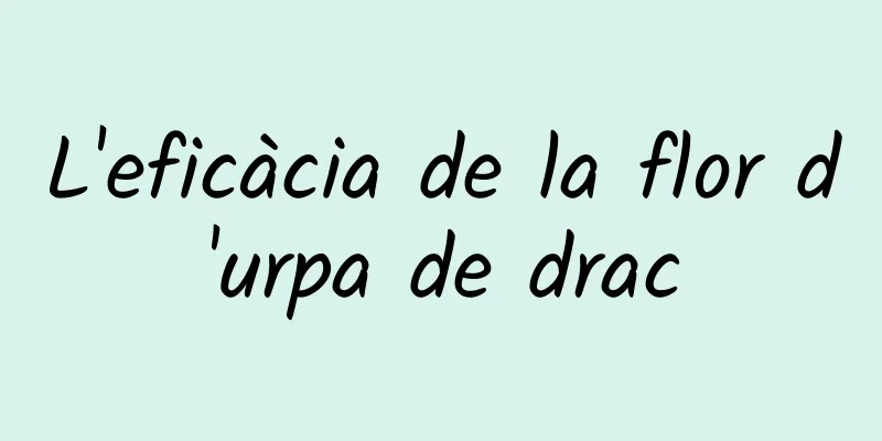 L'eficàcia de la flor d'urpa de drac