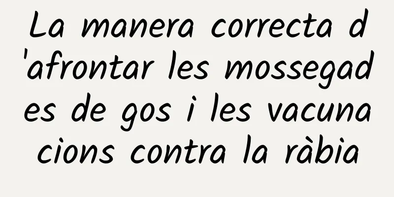 La manera correcta d'afrontar les mossegades de gos i les vacunacions contra la ràbia