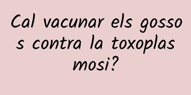 Cal vacunar els gossos contra la toxoplasmosi?