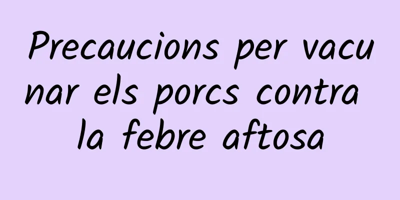 Precaucions per vacunar els porcs contra la febre aftosa