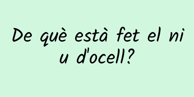 De què està fet el niu d'ocell?