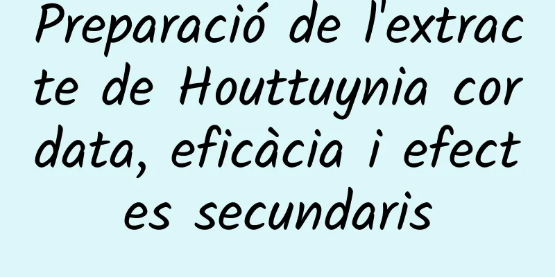 Preparació de l'extracte de Houttuynia cordata, eficàcia i efectes secundaris