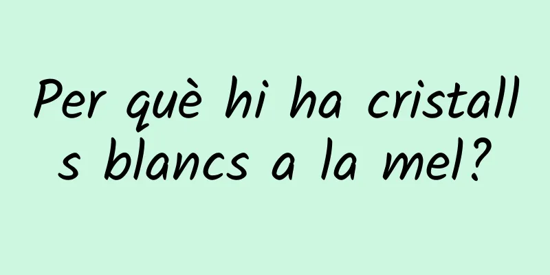 Per què hi ha cristalls blancs a la mel?