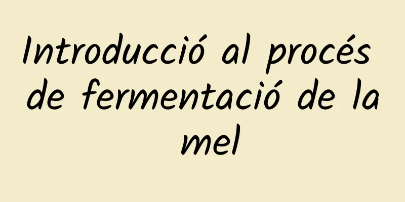 Introducció al procés de fermentació de la mel