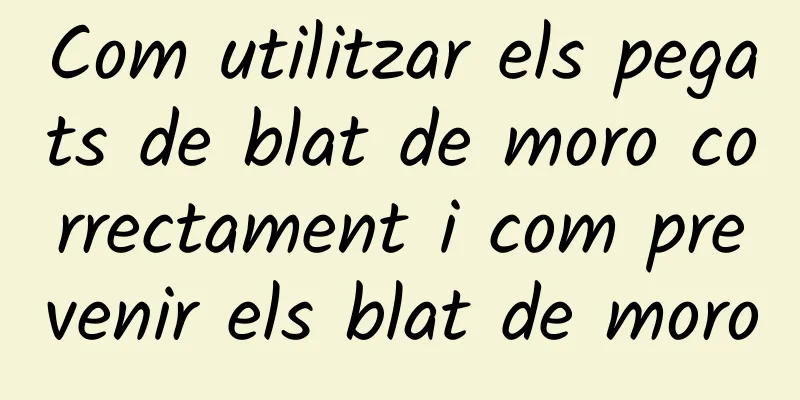 Com utilitzar els pegats de blat de moro correctament i com prevenir els blat de moro