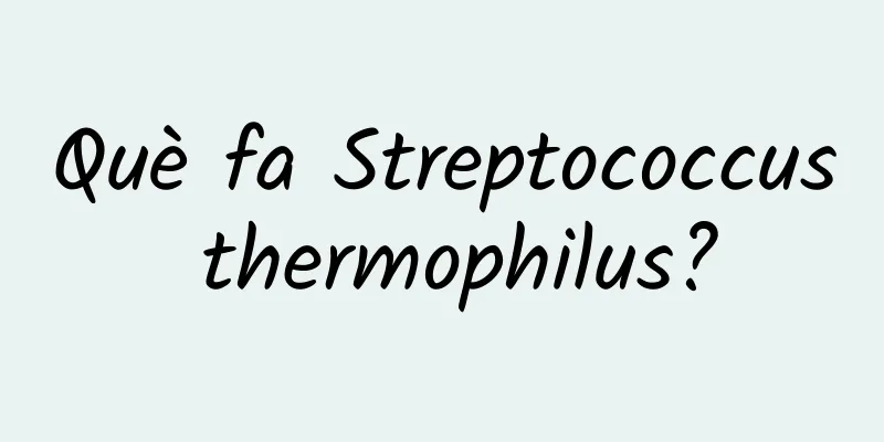 Què fa Streptococcus thermophilus?