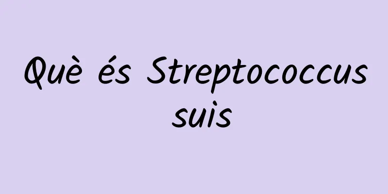 Què és Streptococcus suis
