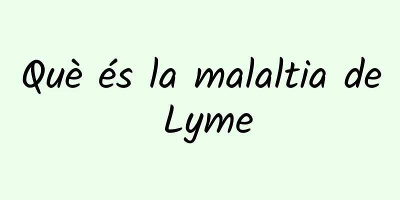 Què és la malaltia de Lyme