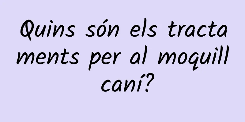 Quins són els tractaments per al moquill caní?