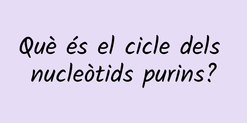Què és el cicle dels nucleòtids purins?