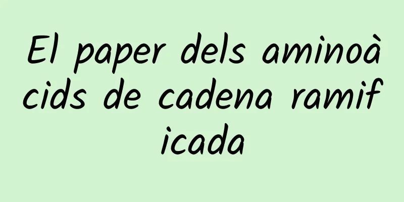 El paper dels aminoàcids de cadena ramificada