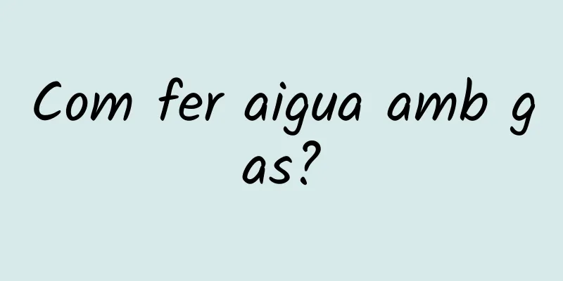 Com fer aigua amb gas?