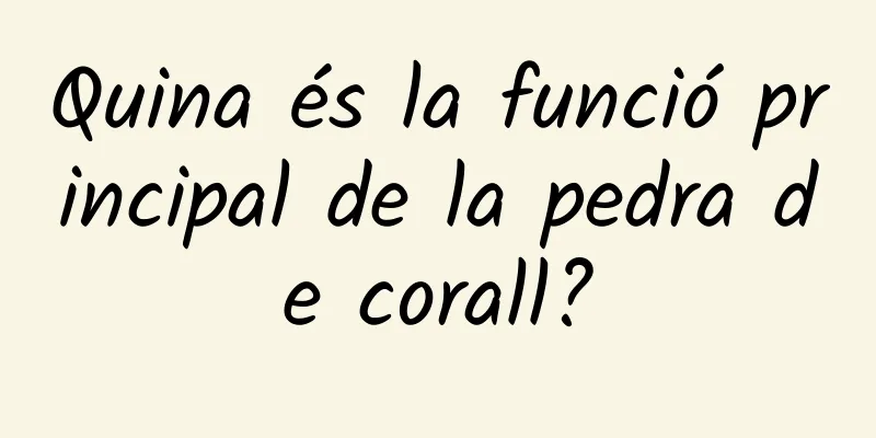 Quina és la funció principal de la pedra de corall?