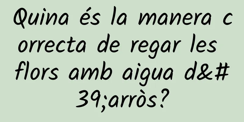 Quina és la manera correcta de regar les flors amb aigua d'arròs?
