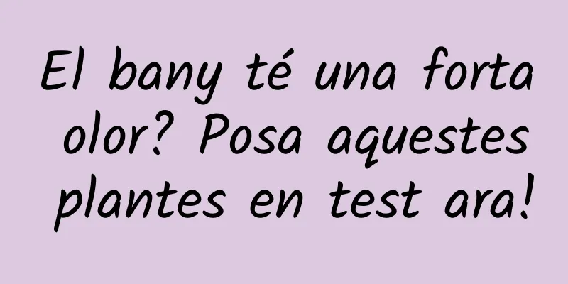 El bany té una forta olor? Posa aquestes plantes en test ara!