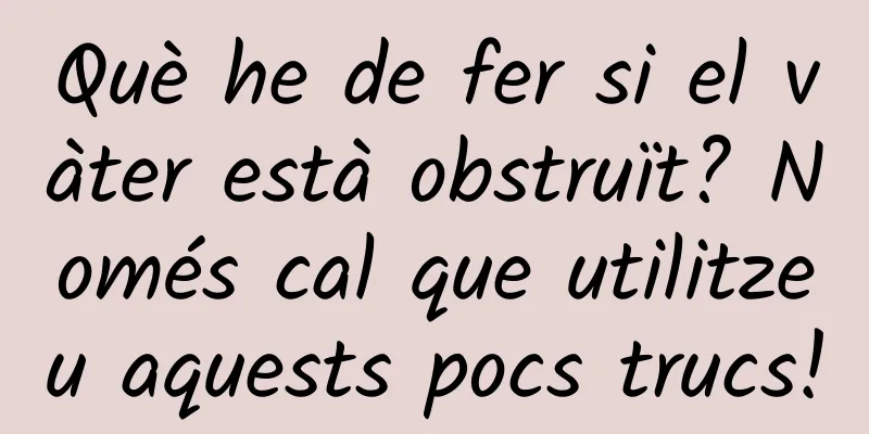 Què he de fer si el vàter està obstruït? Només cal que utilitzeu aquests pocs trucs!