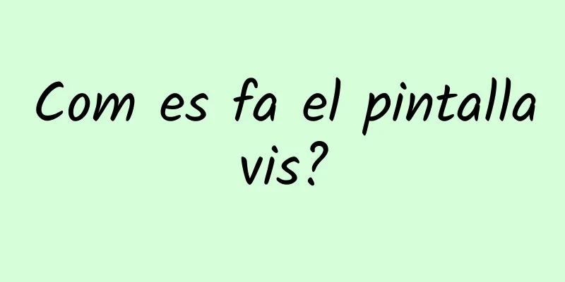 Com es fa el pintallavis?