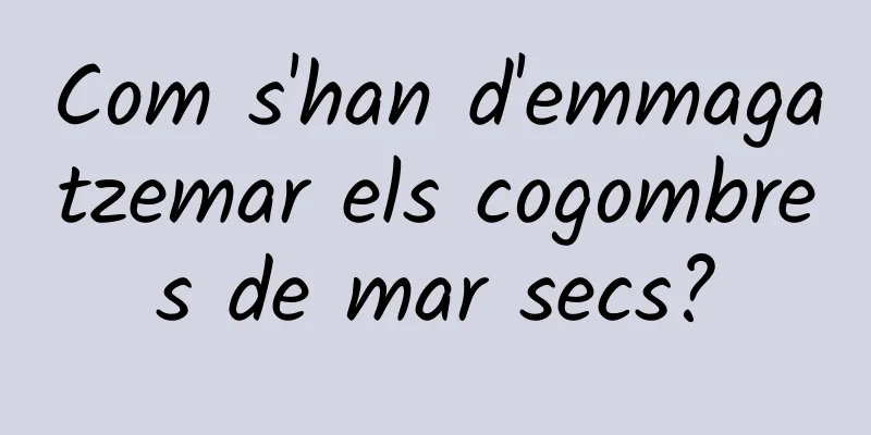 Com s'han d'emmagatzemar els cogombres de mar secs?