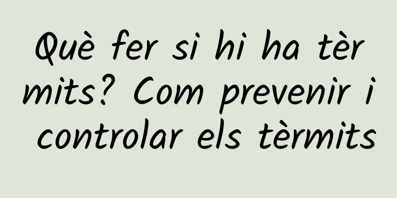 Què fer si hi ha tèrmits? Com prevenir i controlar els tèrmits