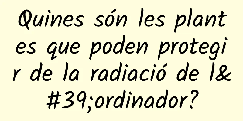 Quines són les plantes que poden protegir de la radiació de l'ordinador?