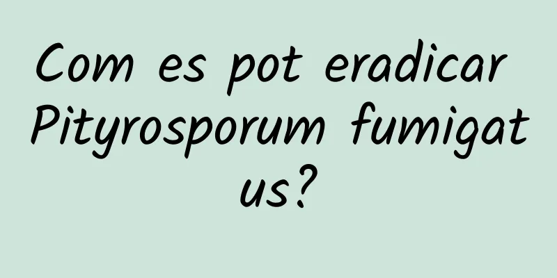 Com es pot eradicar Pityrosporum fumigatus?