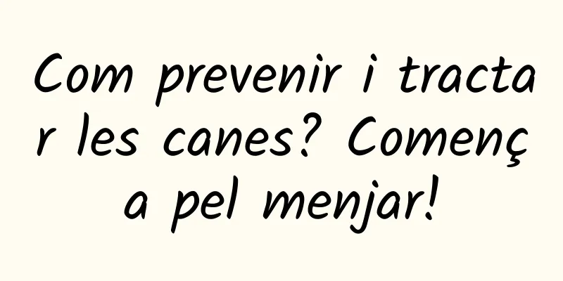 Com prevenir i tractar les canes? Comença pel menjar!
