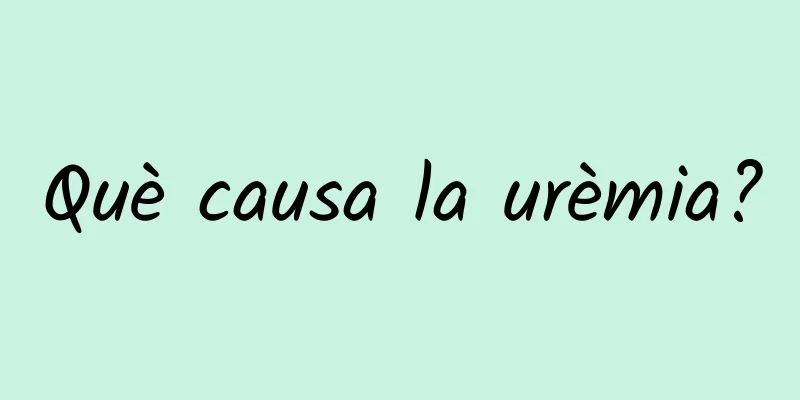Què causa la urèmia?