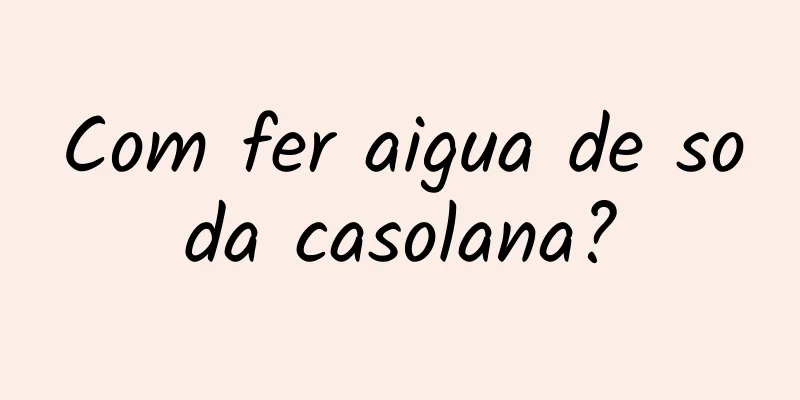 Com fer aigua de soda casolana?