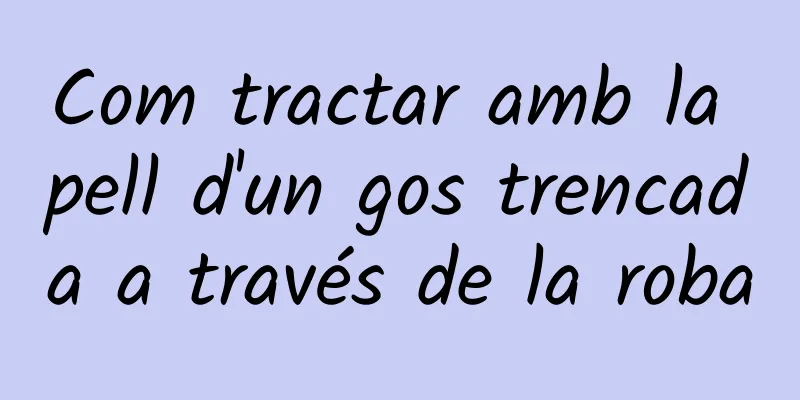Com tractar amb la pell d'un gos trencada a través de la roba