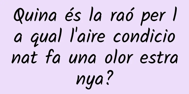 Quina és la raó per la qual l'aire condicionat fa una olor estranya?