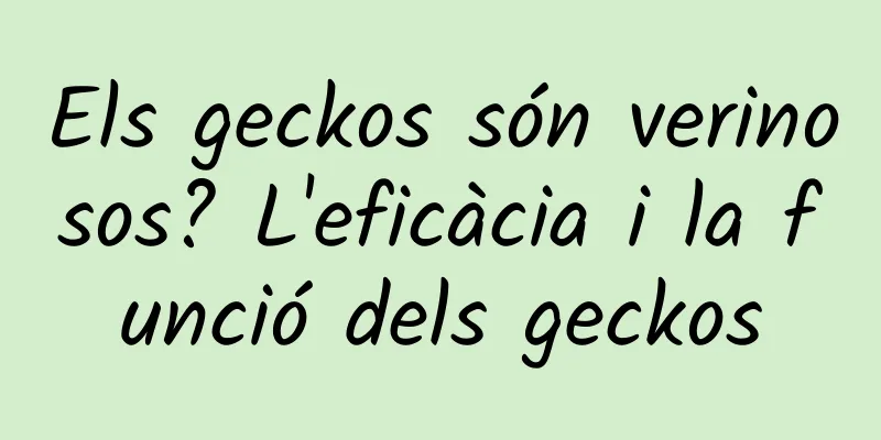 Els geckos són verinosos? L'eficàcia i la funció dels geckos