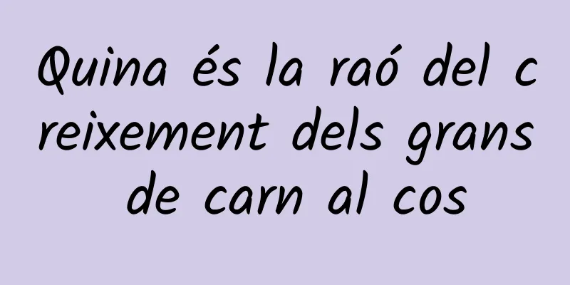 Quina és la raó del creixement dels grans de carn al cos