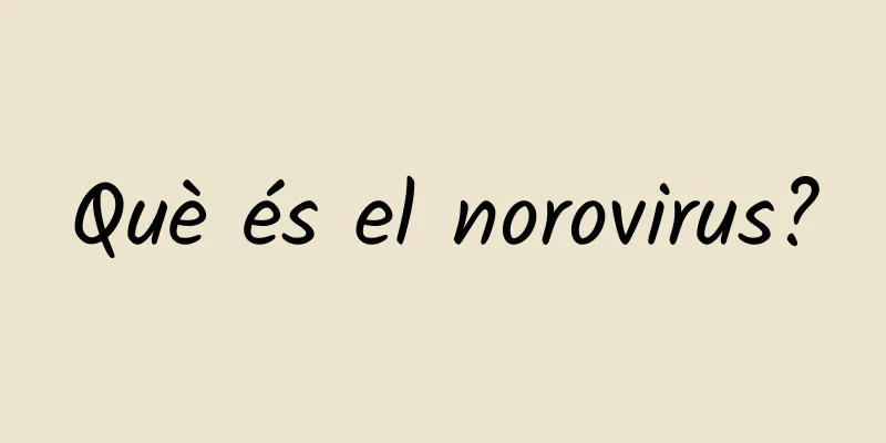 Què és el norovirus?