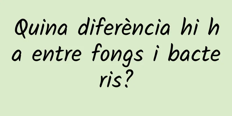 Quina diferència hi ha entre fongs i bacteris?