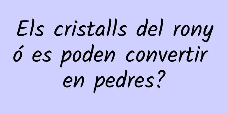 Els cristalls del ronyó es poden convertir en pedres?