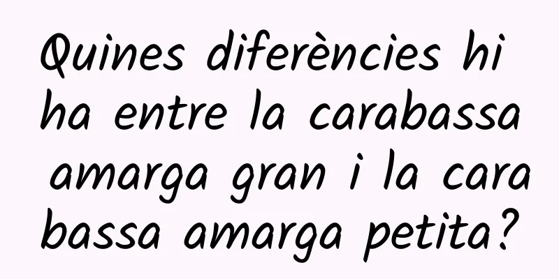 Quines diferències hi ha entre la carabassa amarga gran i la carabassa amarga petita?