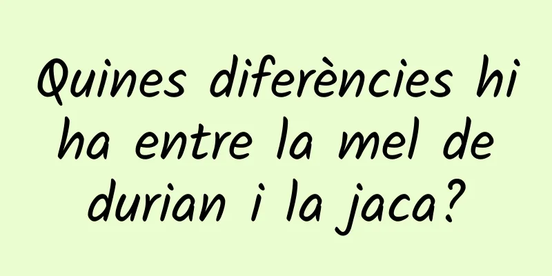 Quines diferències hi ha entre la mel de durian i la jaca?