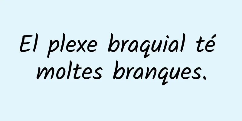 El plexe braquial té moltes branques.