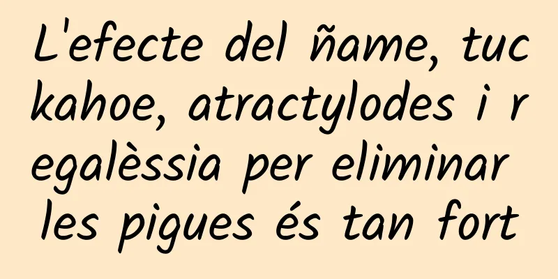 L'efecte del ñame, tuckahoe, atractylodes i regalèssia per eliminar les pigues és tan fort