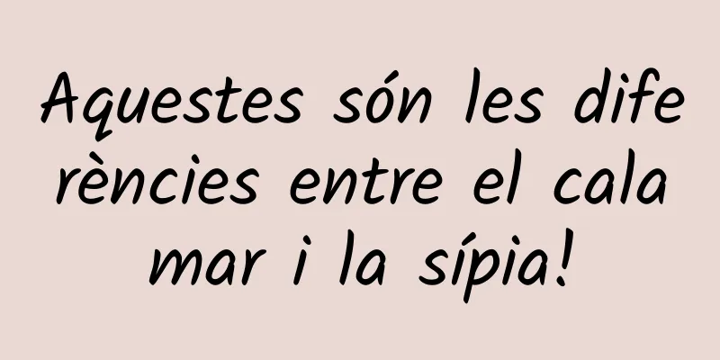 Aquestes són les diferències entre el calamar i la sípia!