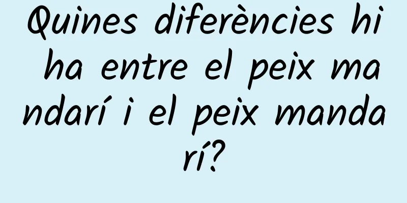 Quines diferències hi ha entre el peix mandarí i el peix mandarí?