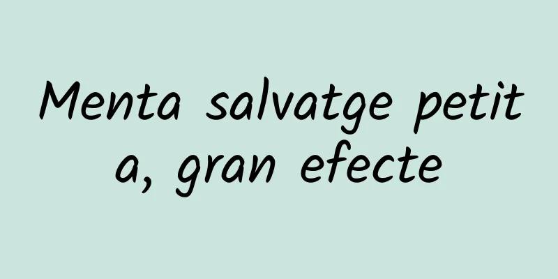 Menta salvatge petita, gran efecte