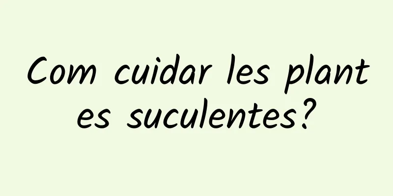 Com cuidar les plantes suculentes?