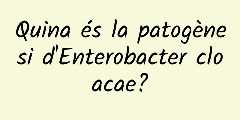 Quina és la patogènesi d'Enterobacter cloacae?