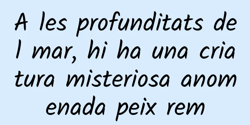 A les profunditats del mar, hi ha una criatura misteriosa anomenada peix rem