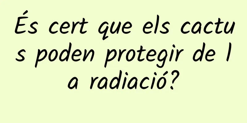 És cert que els cactus poden protegir de la radiació?